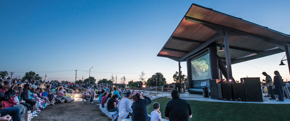 Movie In the Park 