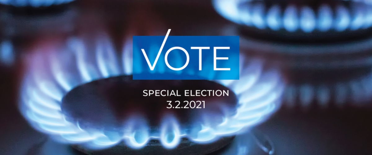 VOTE - Special Election on March 2, 2021