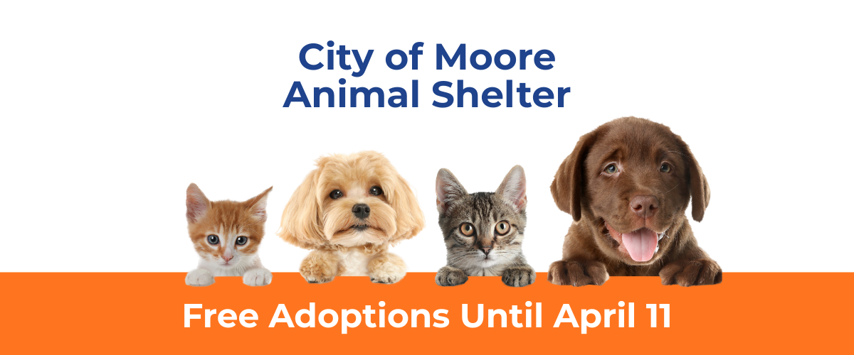 Free Adoptions