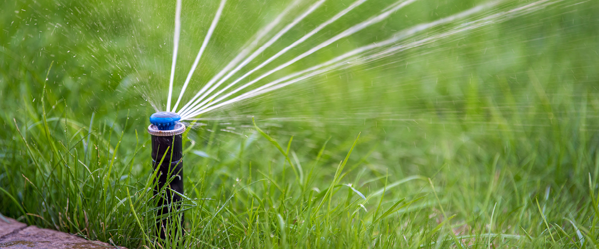 Water Rationing