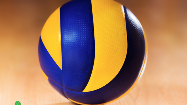 Adult Summer Co-Ed Volleyball League 