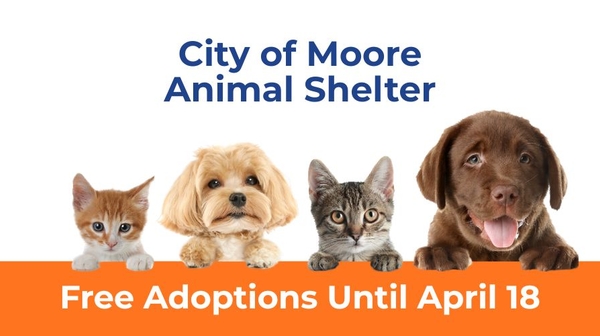Free Adoptions 