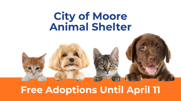 Free Adoptions